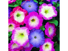 ������� ������ �������������� 10�� ����� 18,30���.[���.3004986]