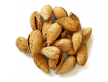 ������ � ���������� �� ������