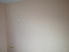 P60928-150347.jpg