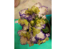 IMG 20161226 142135.jpg