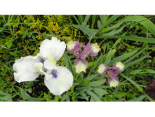 DSC06000 — �����.JPG