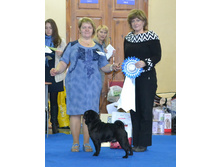 ����������� ������ ����� - ������ ������������� ������ ������� ������, ������ ������ ������������ ��������