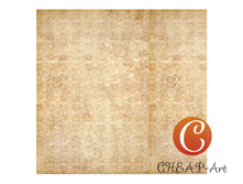 12851. ������������� ������ ��� ������������. 31,5�31,5 ��..jpg