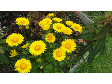 ��������� ���� ������