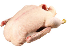 ���� �����