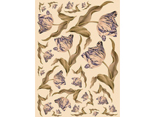 ���������� �����. ������� ��������. �4.jpg