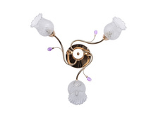 670010403 1200� ������� ����.jpg