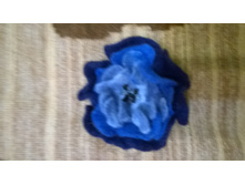 WP 20161204 00 39 51 Pro.jpg