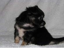 15317727 1223097631089991 2946772788459534910 n.jpg