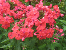 ��������  ��������