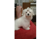 58596ca81f261 20161220161906.jpg