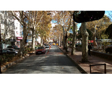 IMG 20161113 123733.jpg