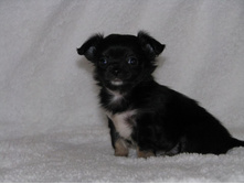 15327365 1223097754423312 4767005002600562461 n.jpg