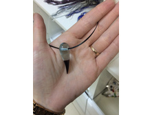 ����� �� ��������� �����