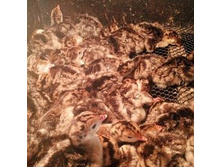 ������ 308 ���������