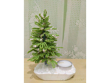 ������ �� ������