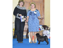 ����������� ������ �������� - ������ ���� ������� ������