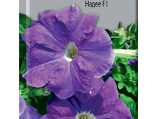 ������� ����� F1 20�� ����� 20,80���.jpg