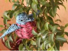 �������� �� �����.jpg