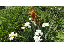 ���� ��������� ���� ����