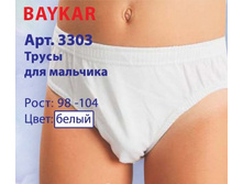 3303 �������