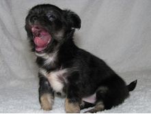 15326600 1223097671089987 8032284560778655528 n.jpg