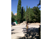 IMG 20160906 142948.jpg