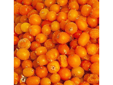 ��������.