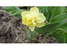 ������� ������ ���������