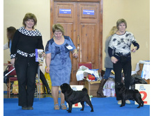 ��������� �� ������� ������