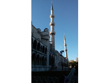 IMG 20161113 141129.jpg