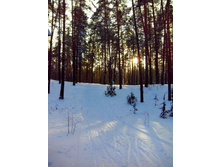 IMG 20161210 113202.jpg