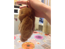 ������ ������ 300 ������ 18 ��