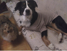 IMG 20161201 203653.jpg