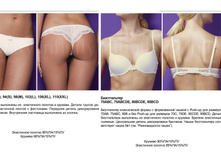 Vega ��������.jpg