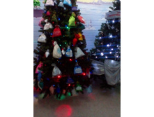 IMG 20161116 153853.jpg