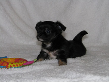 15268061 1223097637756657 4837226687315154510 n.jpg