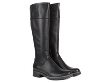 �������� ��������� Venera36