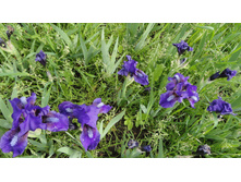 DSC05899 — �����.JPG