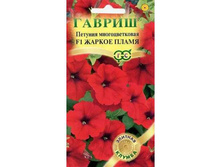 ������� ������ ����� F1 10����. ������ 13,20���.[���.3002966]