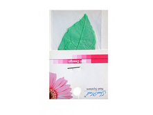 �������� � ������ JessNail, ������-�������-18 ���.jpg