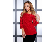 ������ 2496 590�.jpg