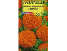 �������� ����� 0,3� ������ 9,09 ���.[���.3001804]