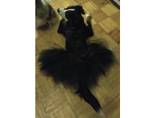 IMG 20161209 071919.jpg