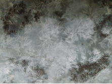 ����� No02