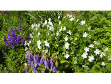 ������ �������������� ������