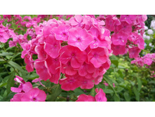 ���������� 1 �� �. �.