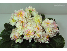 ��-�������� ����������.jpg