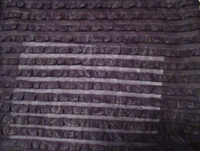 IMG 0245.JPG
