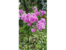 �����   ����������